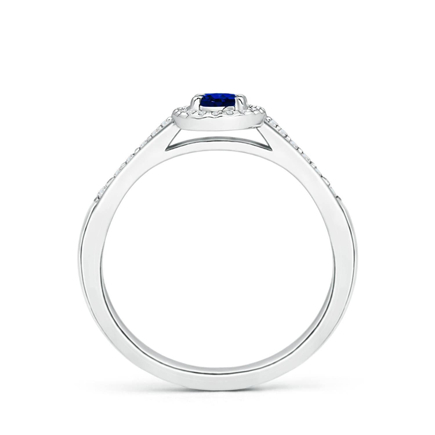 AAAA - Blue Sapphire / 0.46 CT / 14 KT White Gold