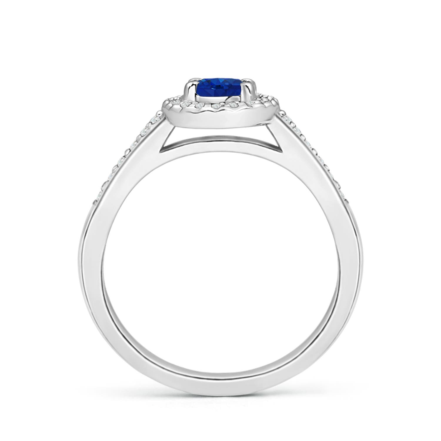 AAA - Blue Sapphire / 0.81 CT / 14 KT White Gold