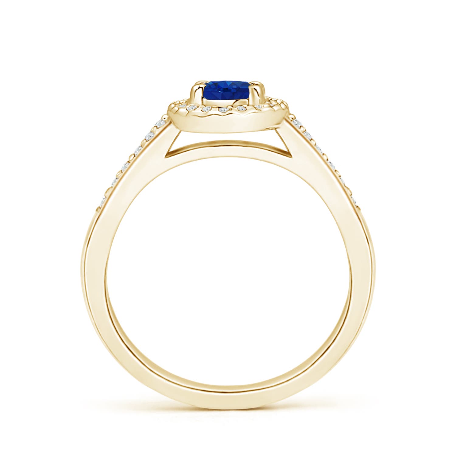 AAA - Blue Sapphire / 0.81 CT / 14 KT Yellow Gold