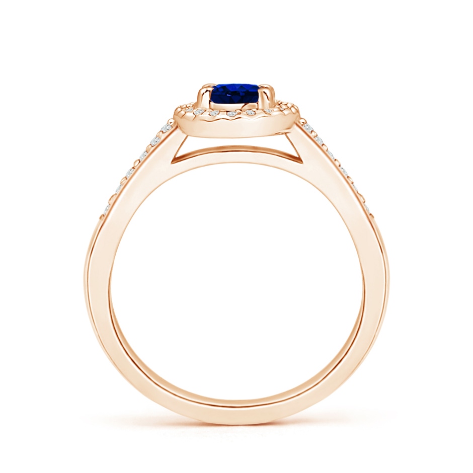 6x4mm AAAA Classic Oval Blue Sapphire Halo Ring with Diamond Accents in Rose Gold side-1
