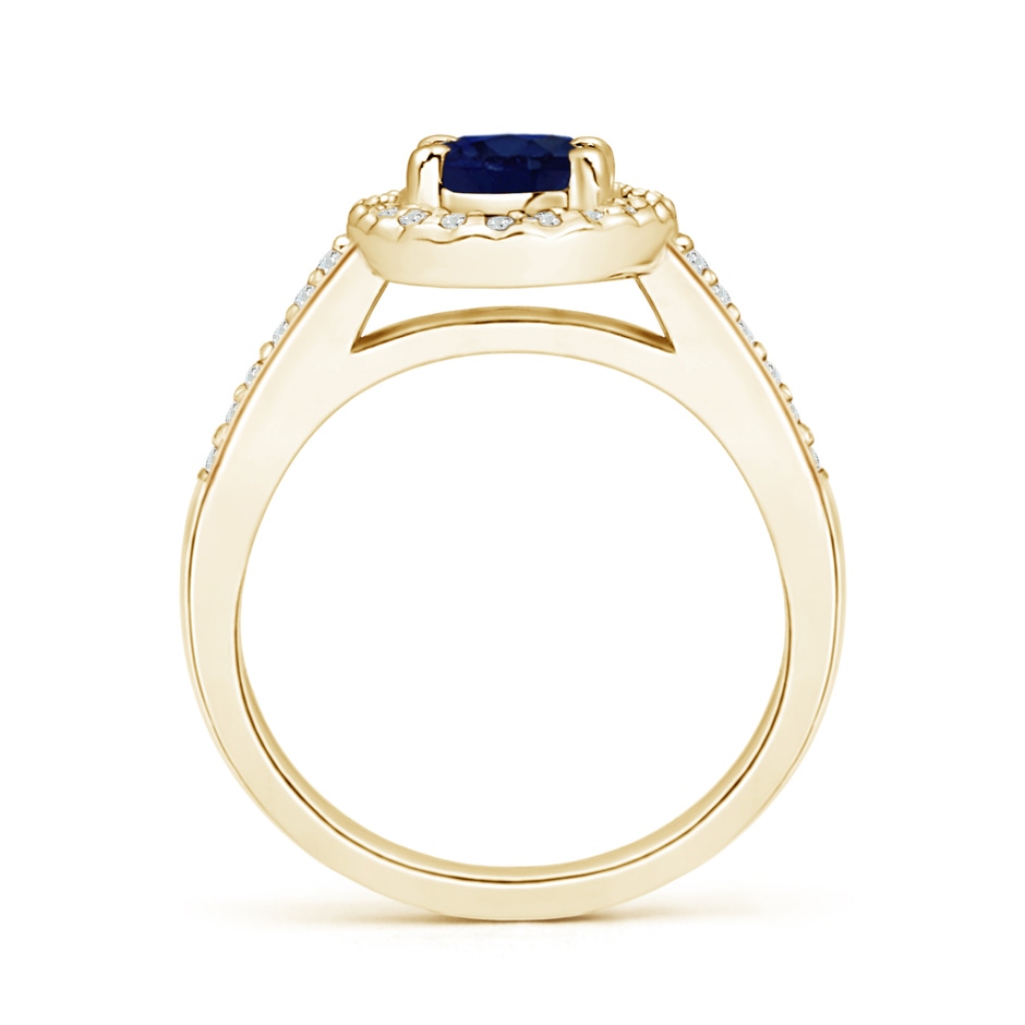 7x5mm A Classic Oval Blue Sapphire Halo Ring with Diamond Accents in Yellow Gold side-1