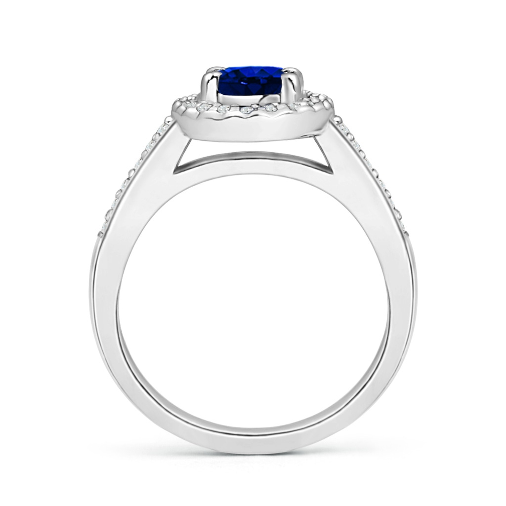 7x5mm AAAA Classic Oval Blue Sapphire Halo Ring with Diamond Accents in P950 Platinum Side-1