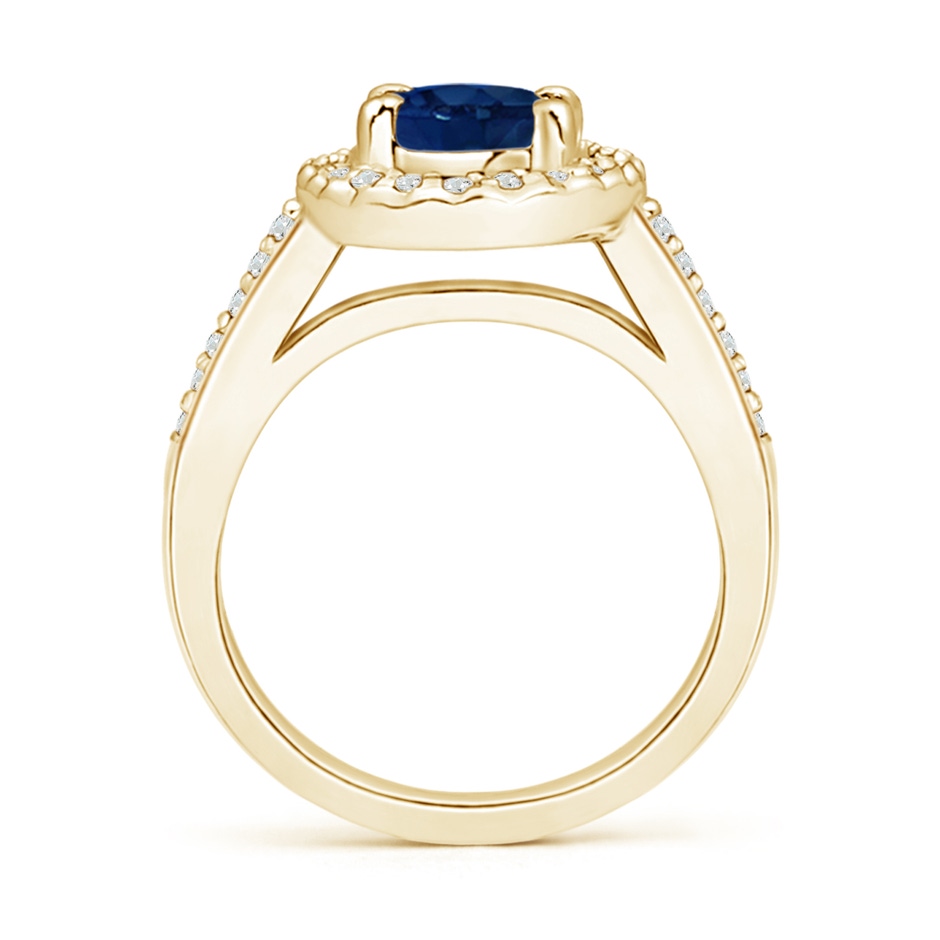 8x6mm AA Classic Oval Blue Sapphire Halo Ring with Diamond Accents in Yellow Gold side-1