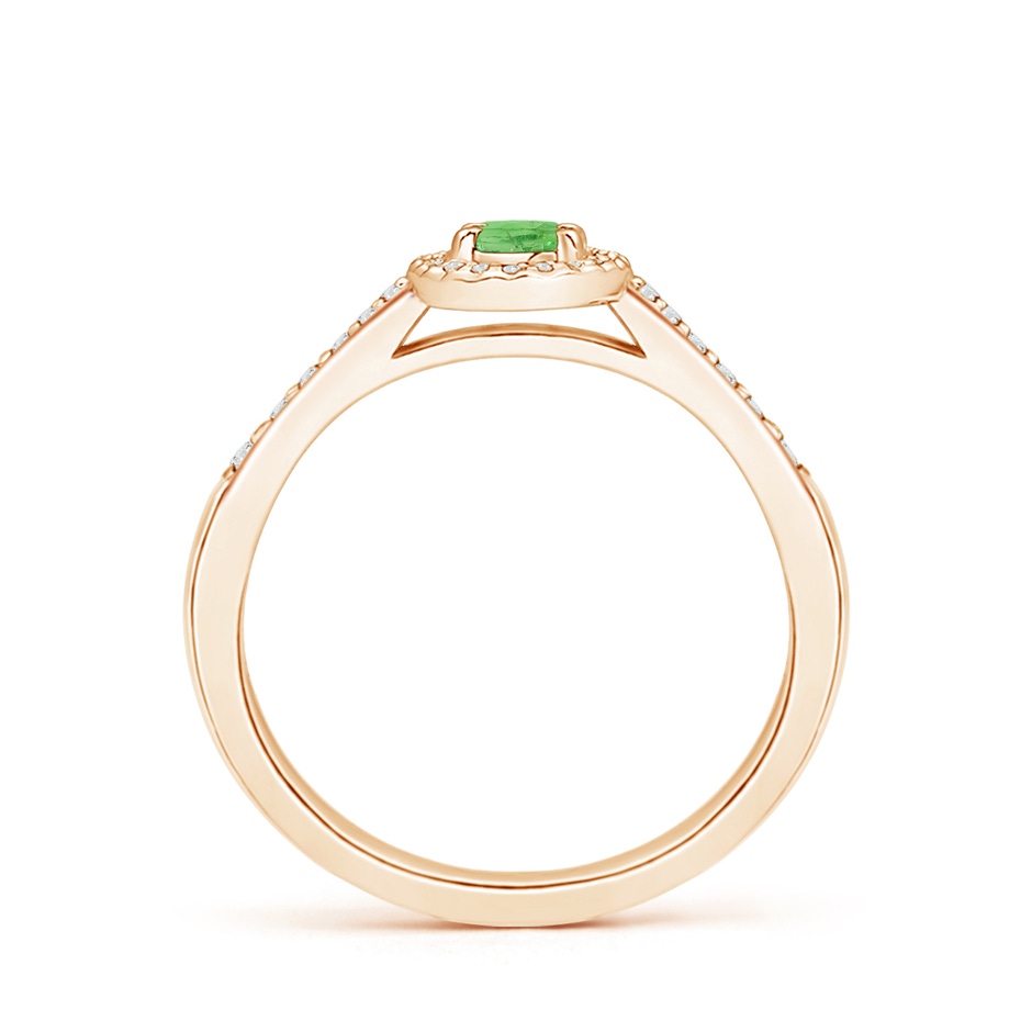 5x3mm A Classic Oval Tsavorite Halo Ring with Diamond Accents in Rose Gold side 199