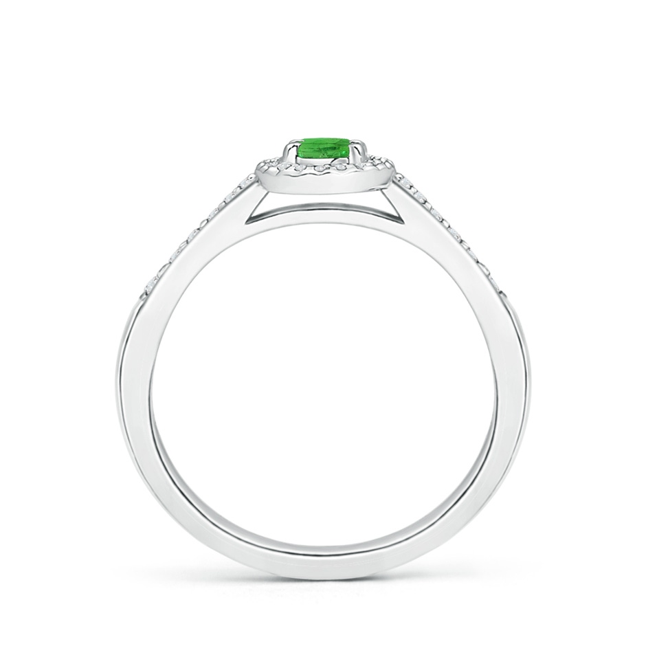 5x3mm AA Classic Oval Tsavorite Halo Ring with Diamond Accents in 18K White Gold side 199