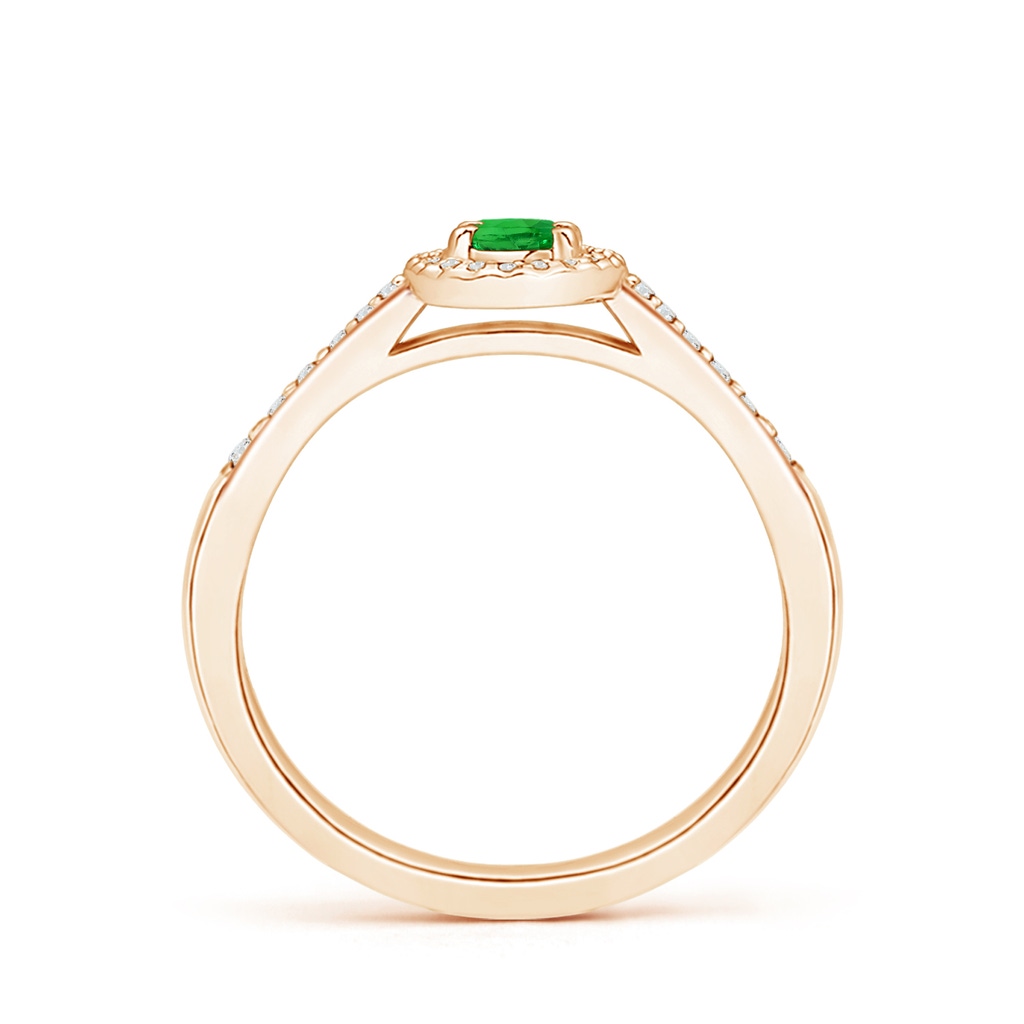 5x3mm AAAA Classic Oval Tsavorite Halo Ring with Diamond Accents in Rose Gold - side 199