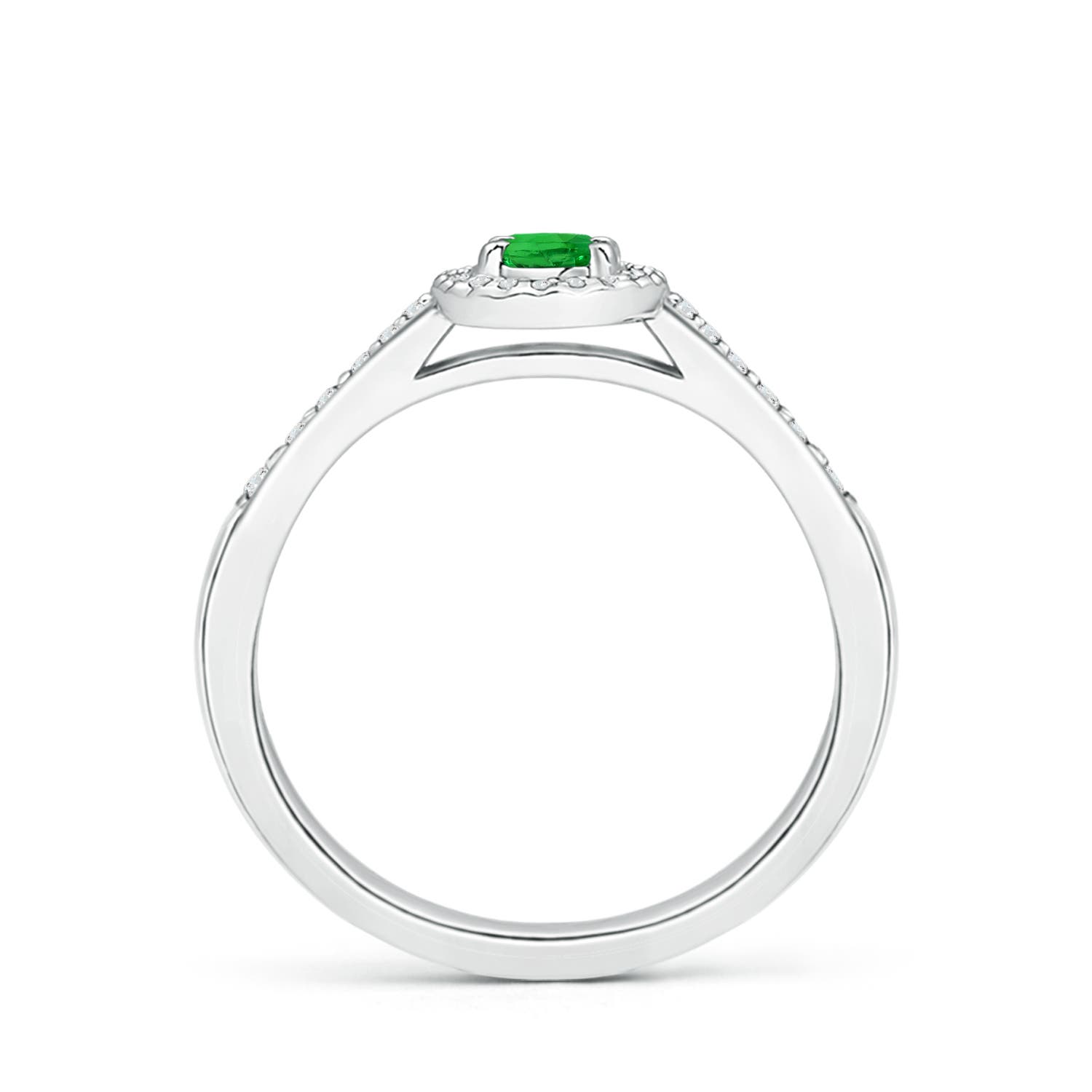 5x3mm AAAA Classic Oval Tsavorite Halo Ring with Diamond Accents in White Gold - side 2