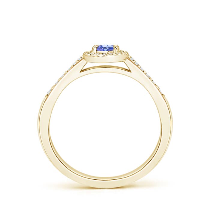 AA - Tanzanite / 0.36 CT / 14 KT Yellow Gold