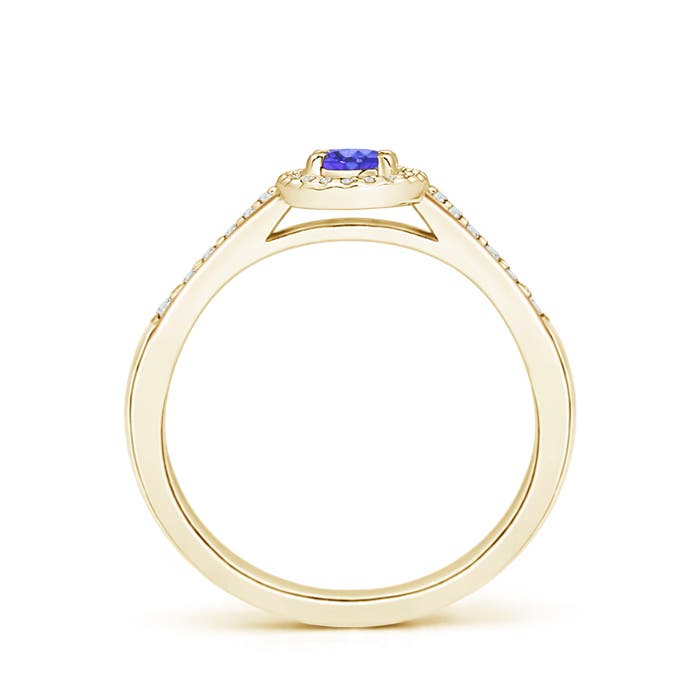 AAA - Tanzanite / 0.36 CT / 14 KT Yellow Gold