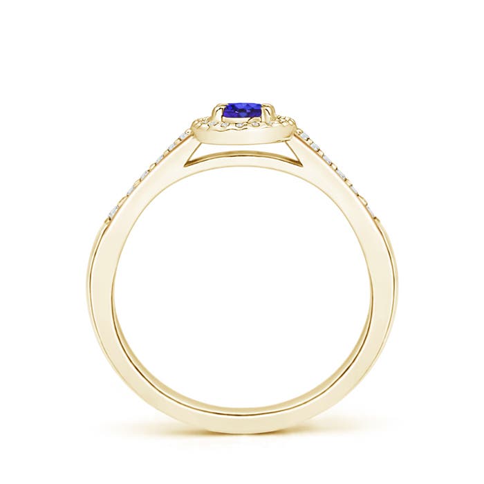 AAAA - Tanzanite / 0.36 CT / 14 KT Yellow Gold