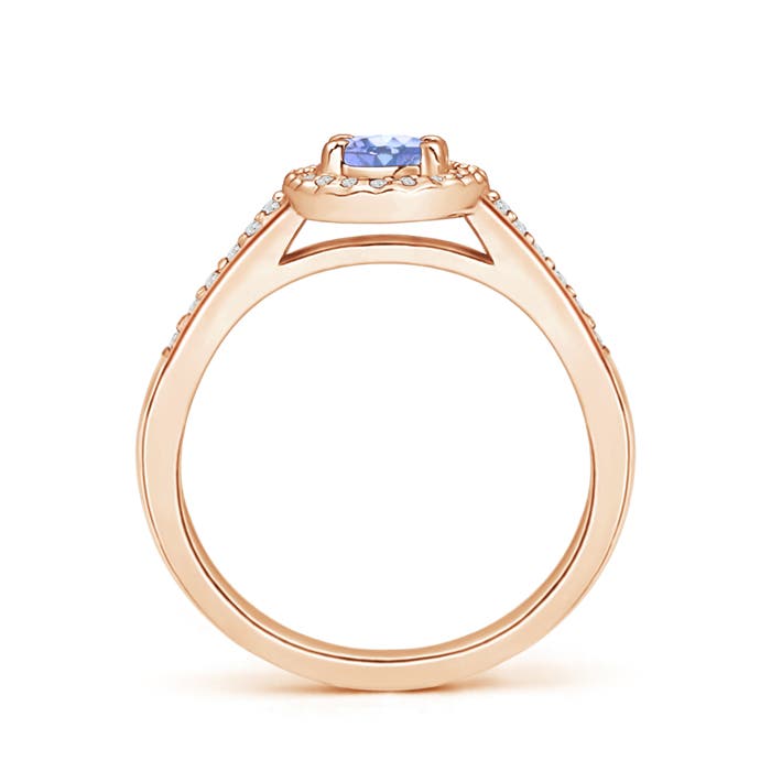 A - Tanzanite / 0.66 CT / 14 KT Rose Gold