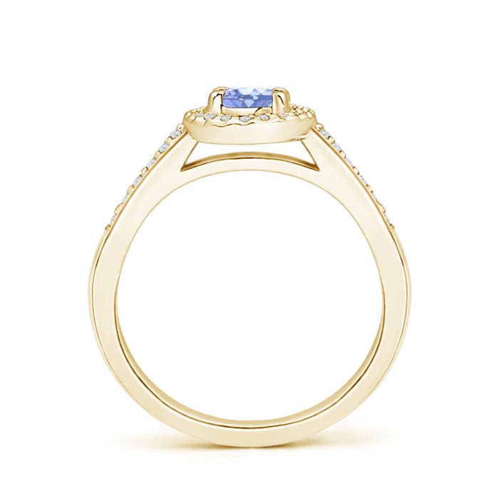 A - Tanzanite / 0.66 CT / 14 KT Yellow Gold