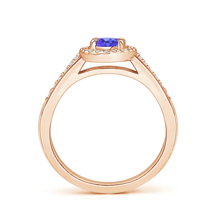 AAA - Tanzanite / 0.66 CT / 14 KT Rose Gold