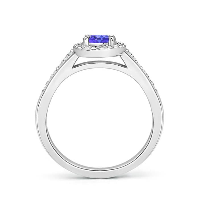 AAA - Tanzanite / 0.66 CT / 14 KT White Gold