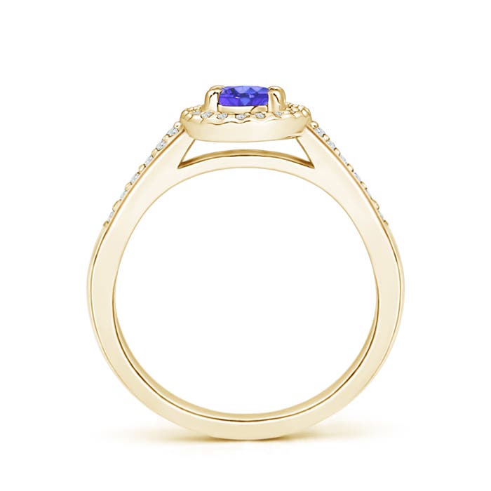 AAA - Tanzanite / 0.66 CT / 14 KT Yellow Gold