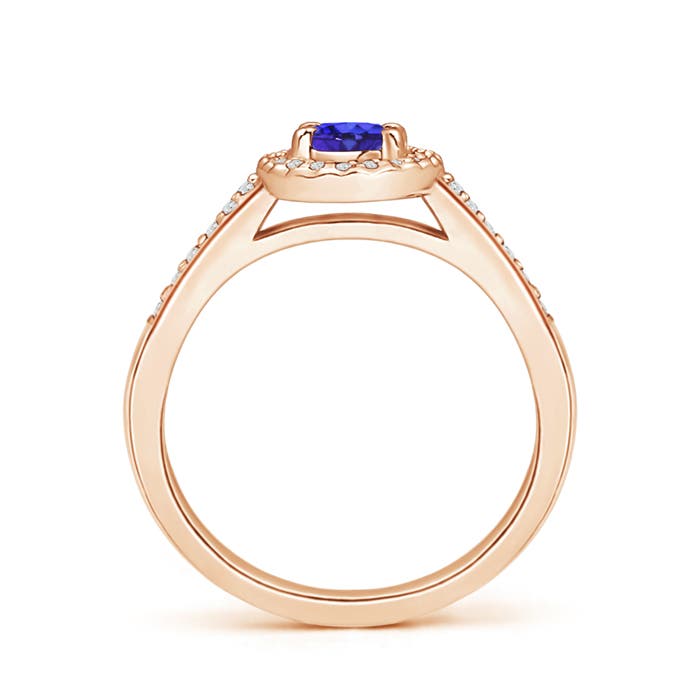 AAAA - Tanzanite / 0.66 CT / 14 KT Rose Gold