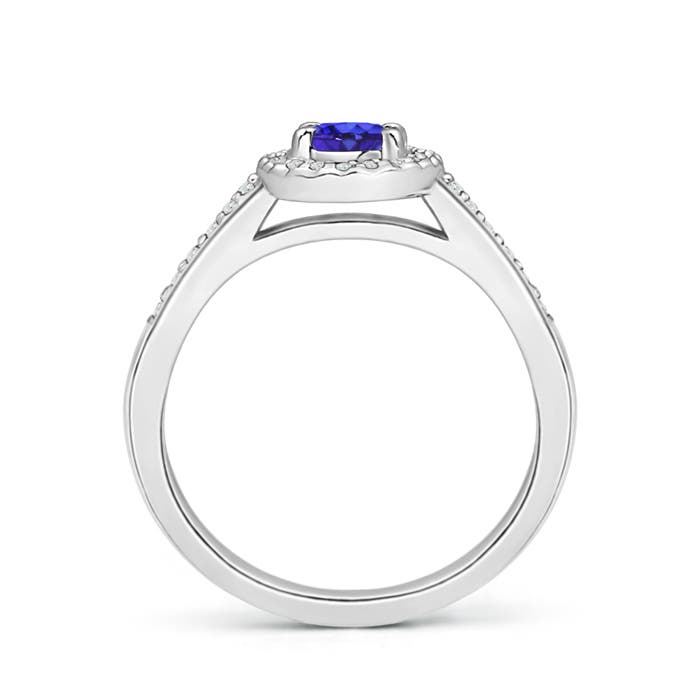 AAAA - Tanzanite / 0.66 CT / 14 KT White Gold