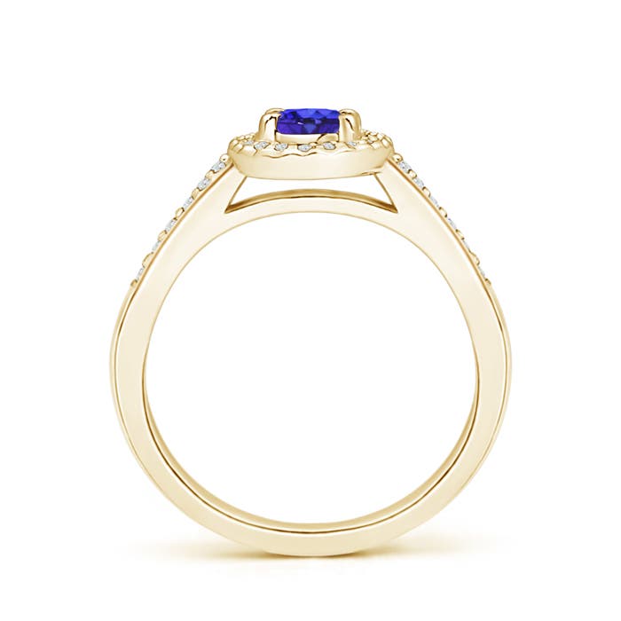 AAAA - Tanzanite / 0.66 CT / 14 KT Yellow Gold