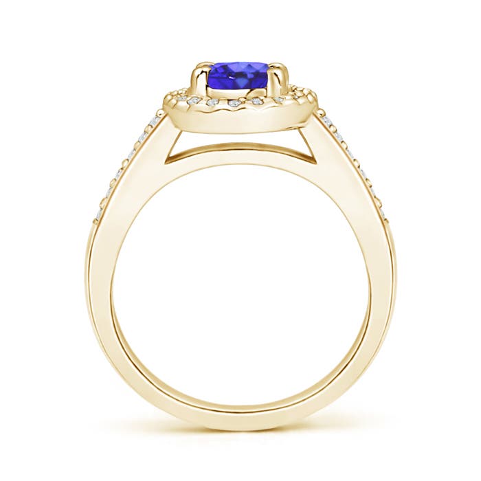 AA - Tanzanite / 1.06 CT / 14 KT Yellow Gold