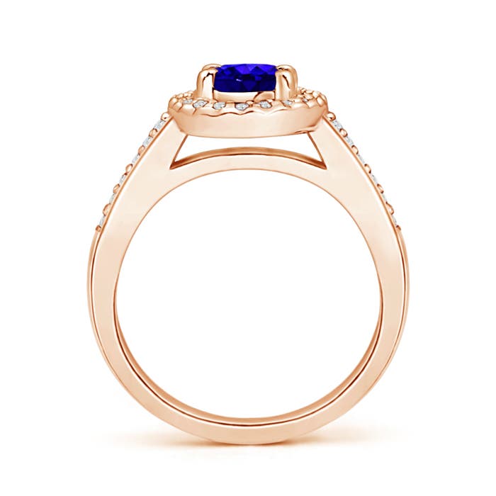 AAAA - Tanzanite / 1.06 CT / 14 KT Rose Gold