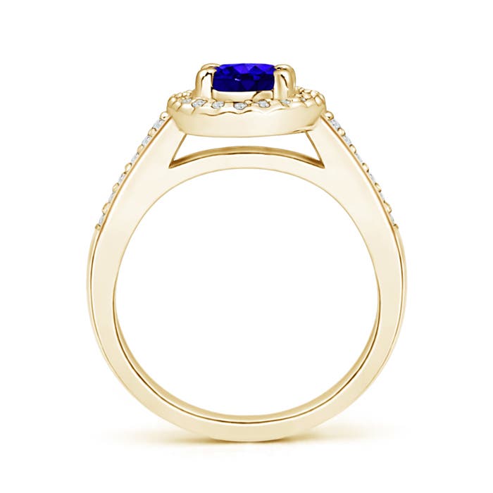 AAAA - Tanzanite / 1.06 CT / 14 KT Yellow Gold