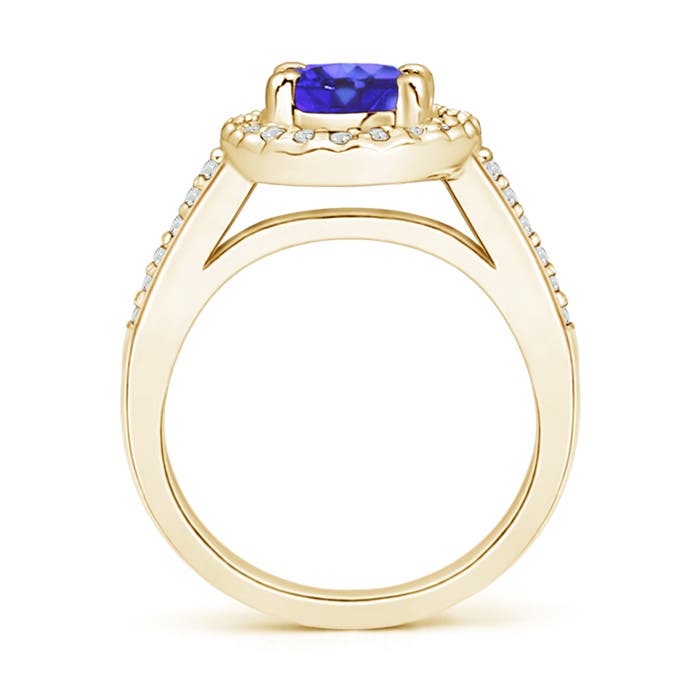 AA - Tanzanite / 1.57 CT / 14 KT Yellow Gold