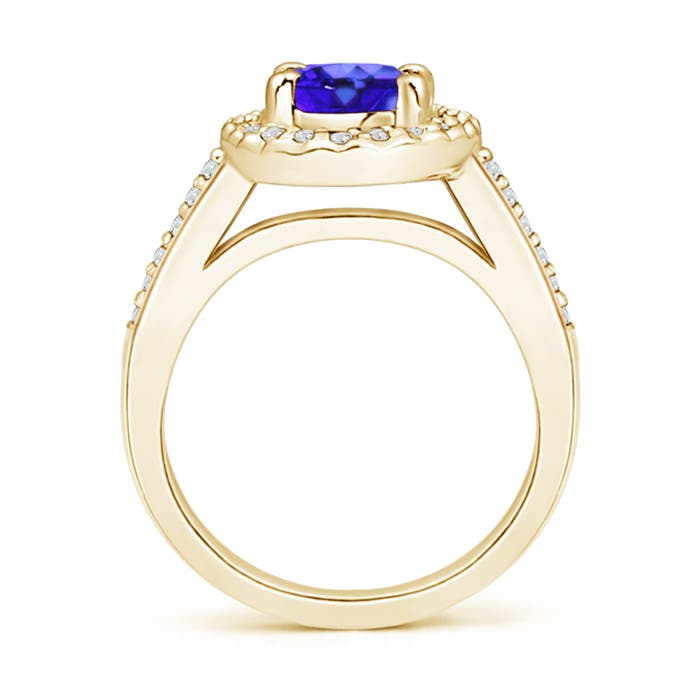 AAA - Tanzanite / 1.57 CT / 14 KT Yellow Gold