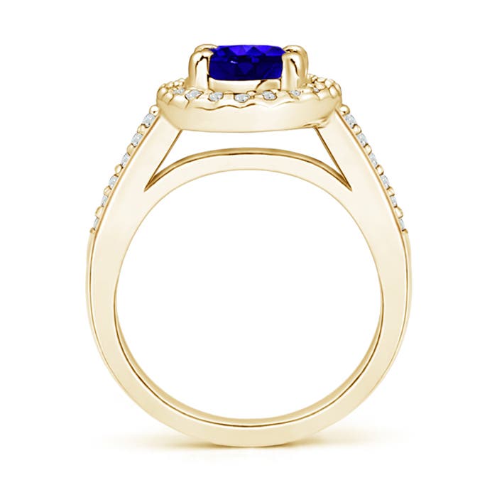 AAAA - Tanzanite / 1.57 CT / 14 KT Yellow Gold