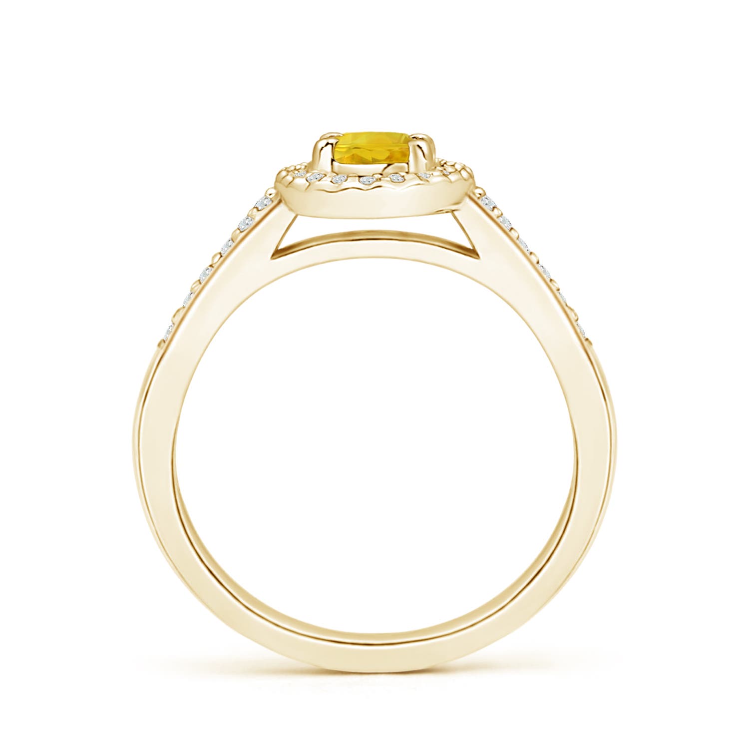 AAA - Yellow Sapphire / 0.87 CT / 14 KT Yellow Gold