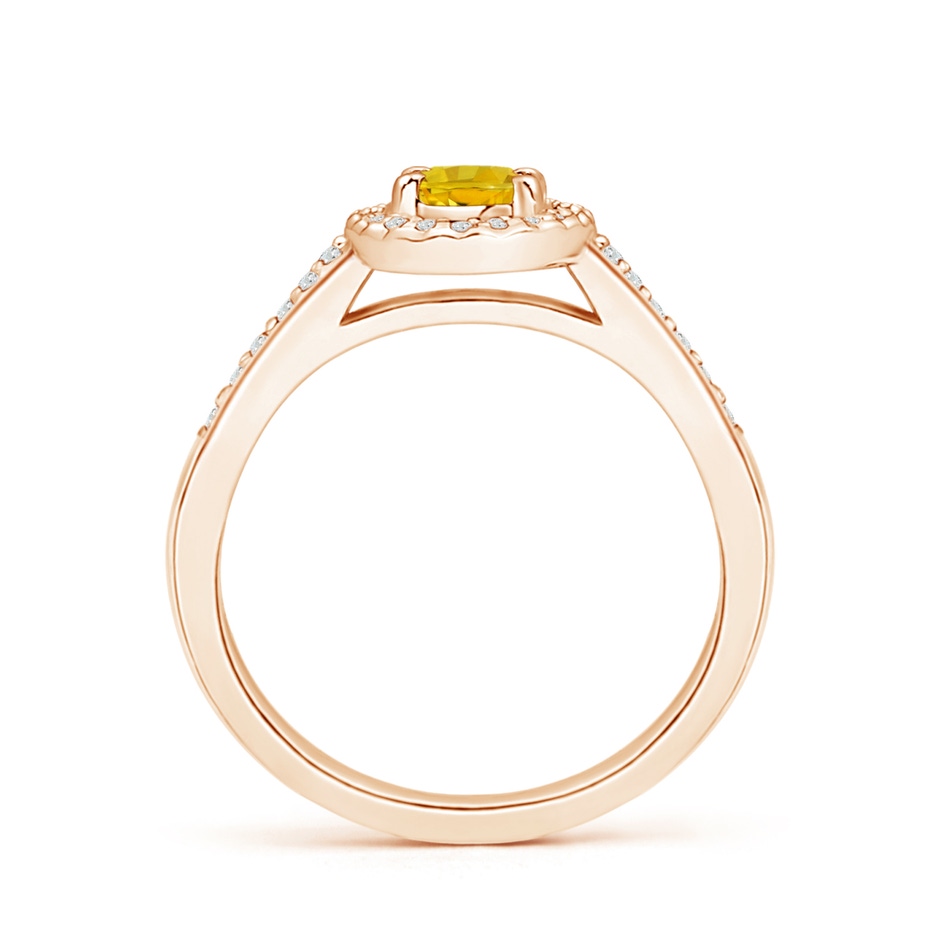 6x4mm AAAA Classic Oval Yellow Sapphire Halo Ring with Diamond Accents in 9K Rose Gold side 1