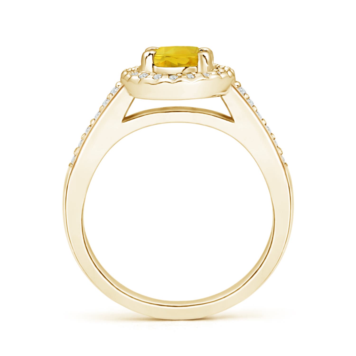 AAA - Yellow Sapphire / 1.26 CT / 14 KT Yellow Gold