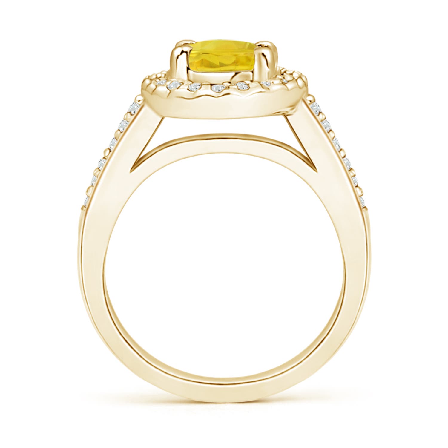 AA - Yellow Sapphire / 1.82 CT / 14 KT Yellow Gold