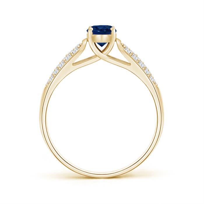 AA - Blue Sapphire / 0.88 CT / 14 KT Yellow Gold