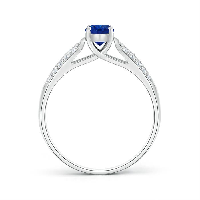 AAA - Blue Sapphire / 0.88 CT / 14 KT White Gold