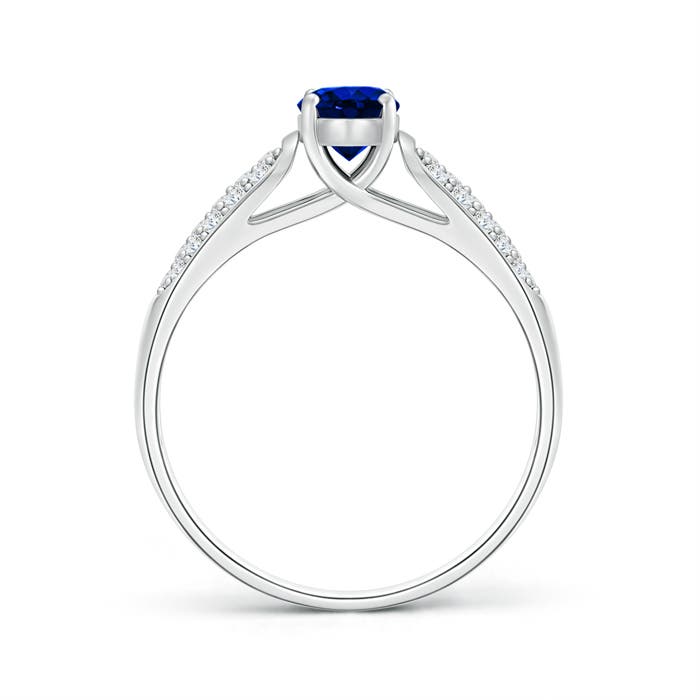 AAAA - Blue Sapphire / 0.88 CT / 14 KT White Gold