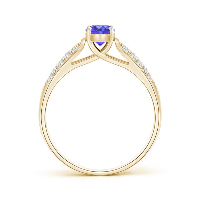 AAA - Tanzanite / 0.73 CT / 14 KT Yellow Gold