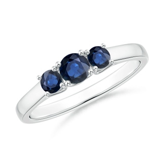 Round AA Blue Sapphire