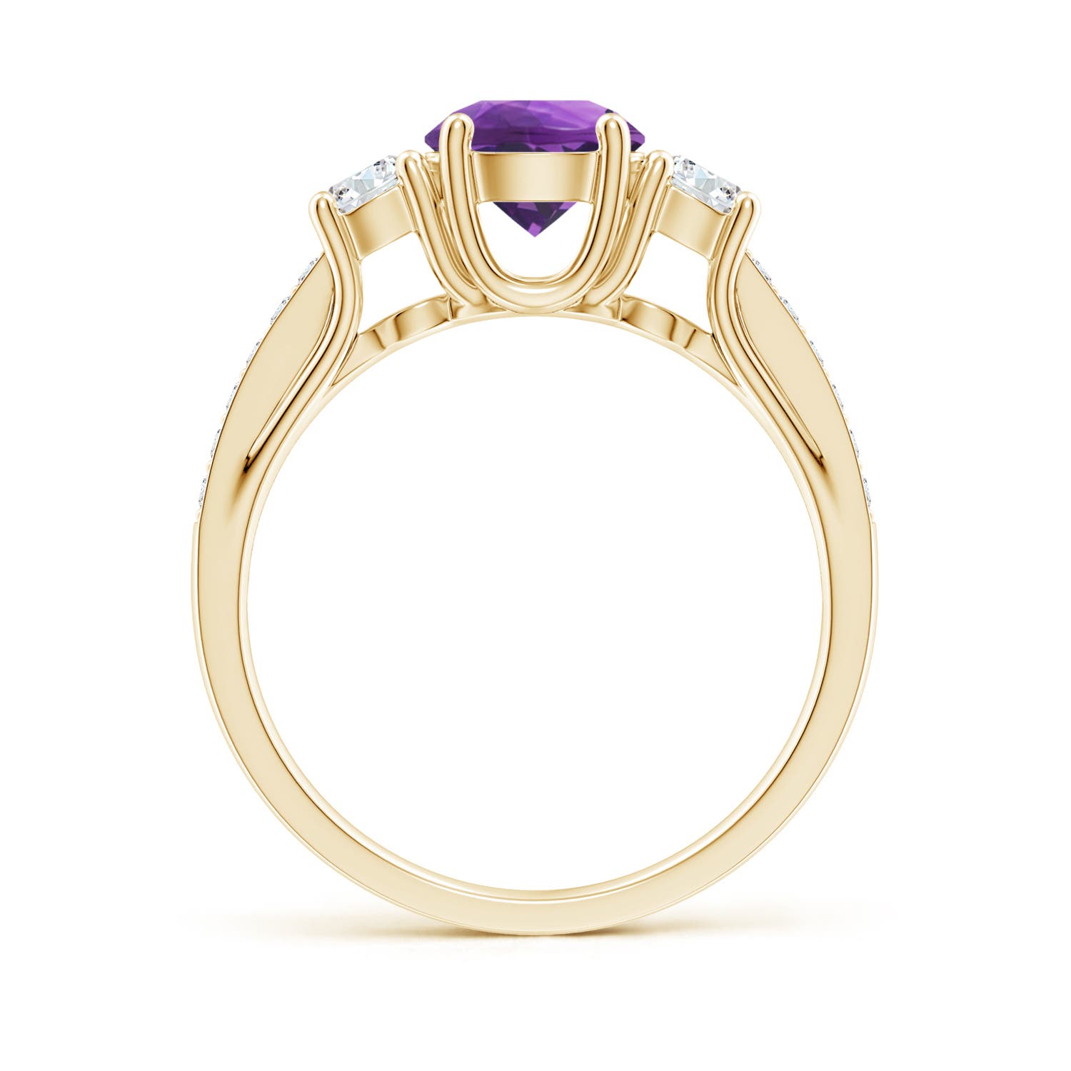 AAA - Amethyst / 1.24 CT / 14 KT Yellow Gold