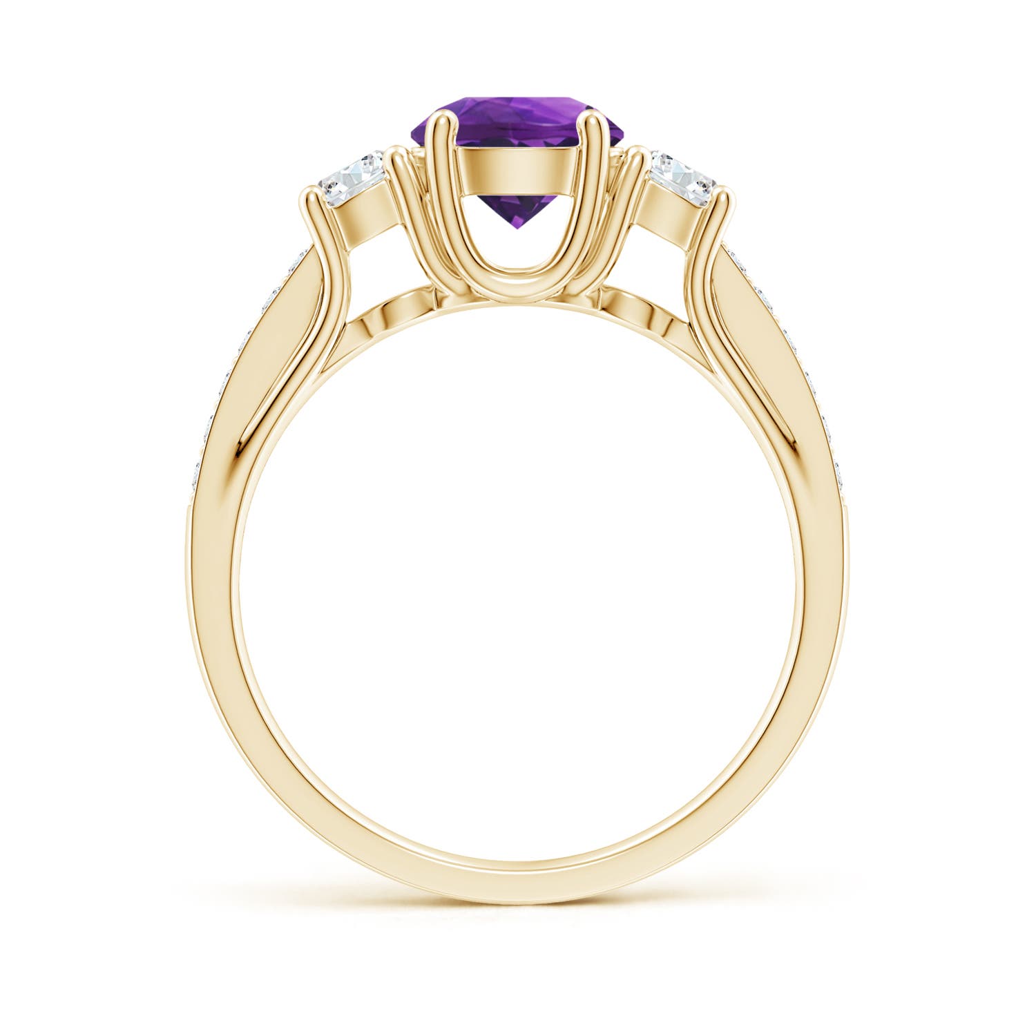 AAAA - Amethyst / 1.24 CT / 14 KT Yellow Gold