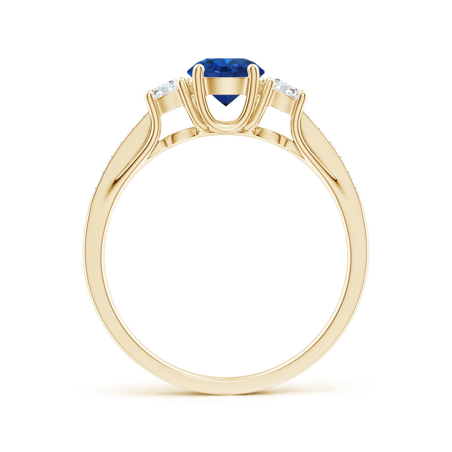 AAA - Blue Sapphire / 0.91 CT / 14 KT Yellow Gold