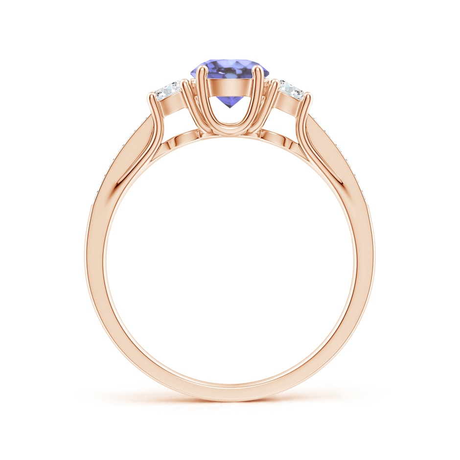 5mm AA Classic Prong Set Round Tanzanite and Diamond Three Stone Ring in 9K Rose Gold side 199