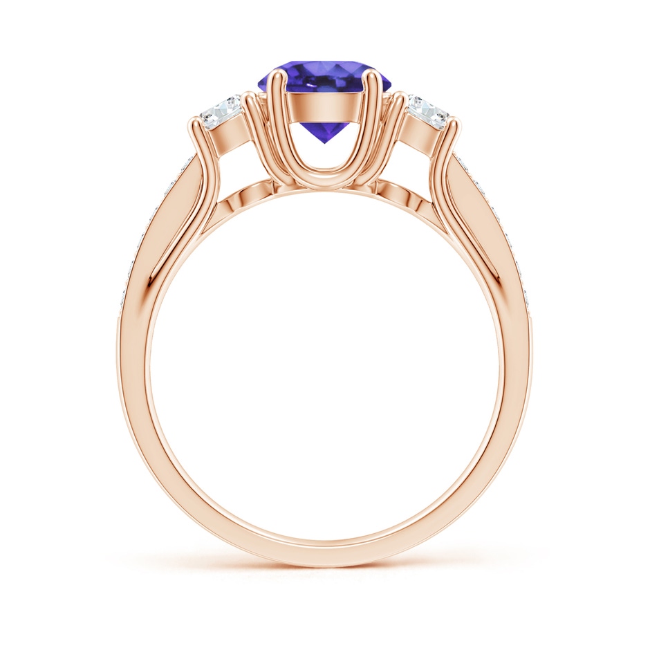 6mm AA Classic Prong Set Round Tanzanite and Diamond Three Stone Ring in Rose Gold side 199
