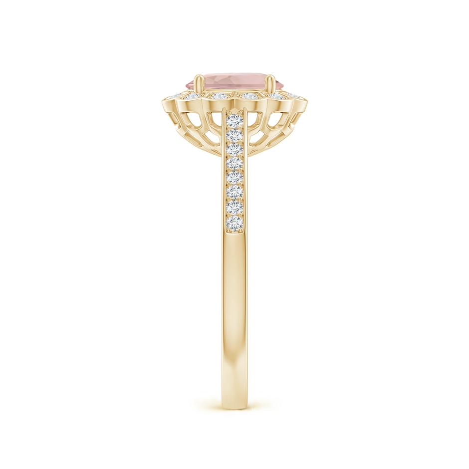 7x5mm AA Vintage Style Morganite & Diamond Scalloped Halo Ring in Yellow Gold side-2