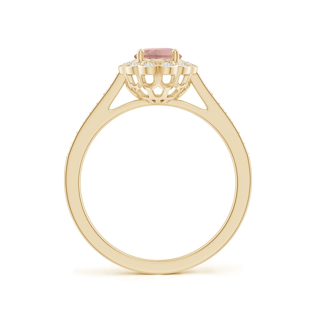 7x5mm AAAA Vintage Style Morganite & Diamond Scalloped Halo Ring in Yellow Gold - side_1