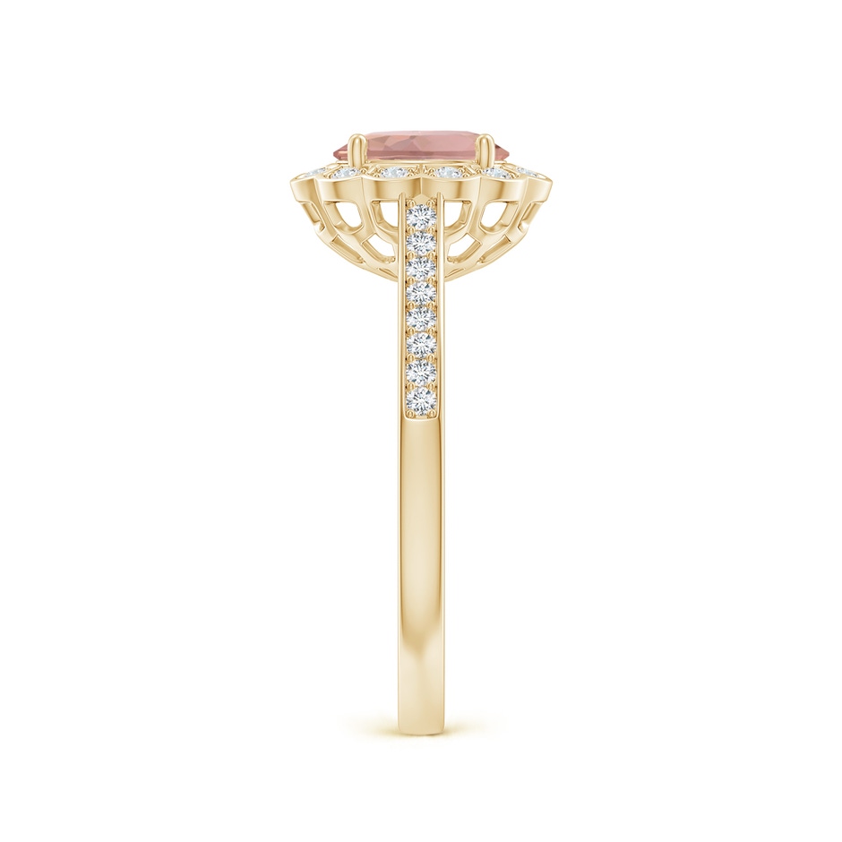 7x5mm AAAA Vintage Style Morganite & Diamond Scalloped Halo Ring in Yellow Gold side-2