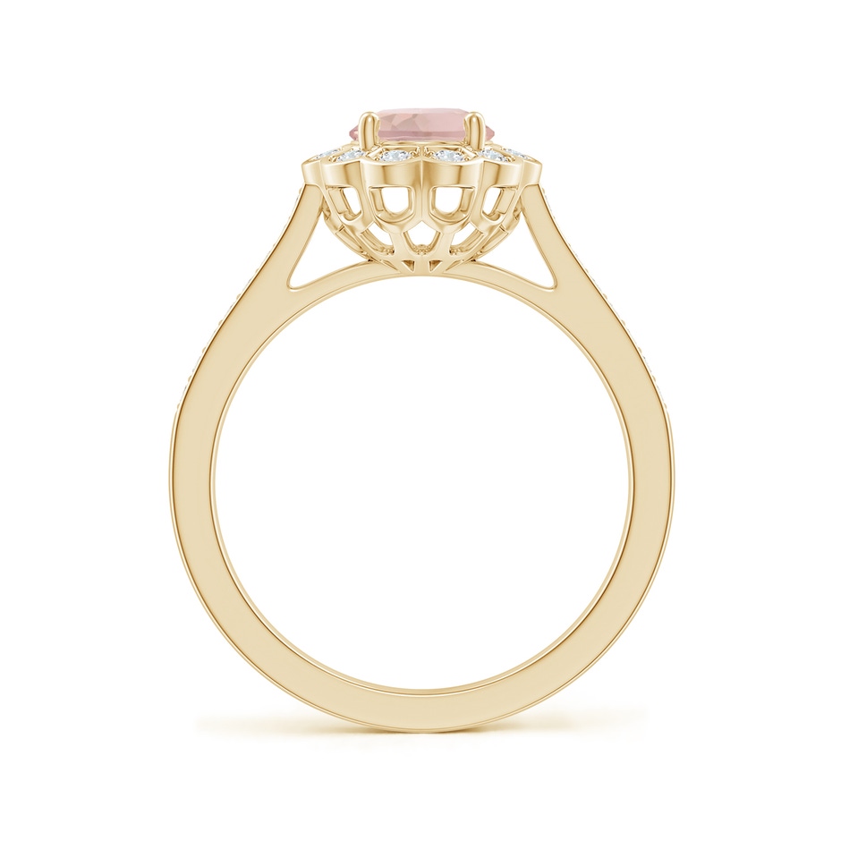 8x6mm AA Vintage Style Morganite & Diamond Scalloped Halo Ring in Yellow Gold side-1
