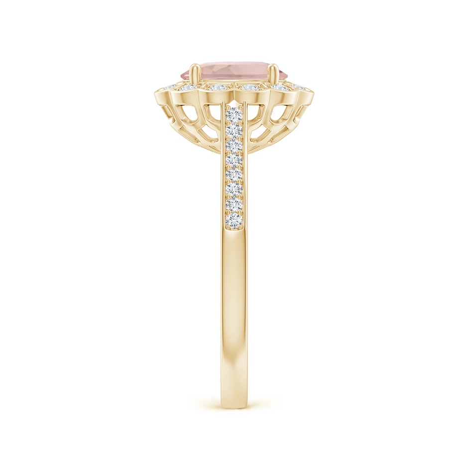 8x6mm AA Vintage Style Morganite & Diamond Scalloped Halo Ring in Yellow Gold side-2