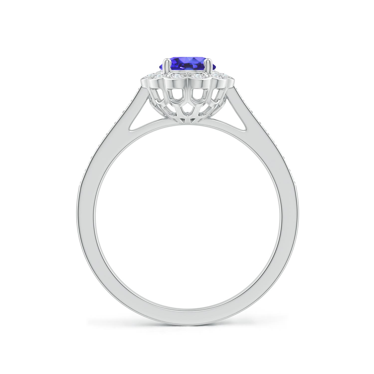 AA - Tanzanite / 1 CT / 14 KT White Gold