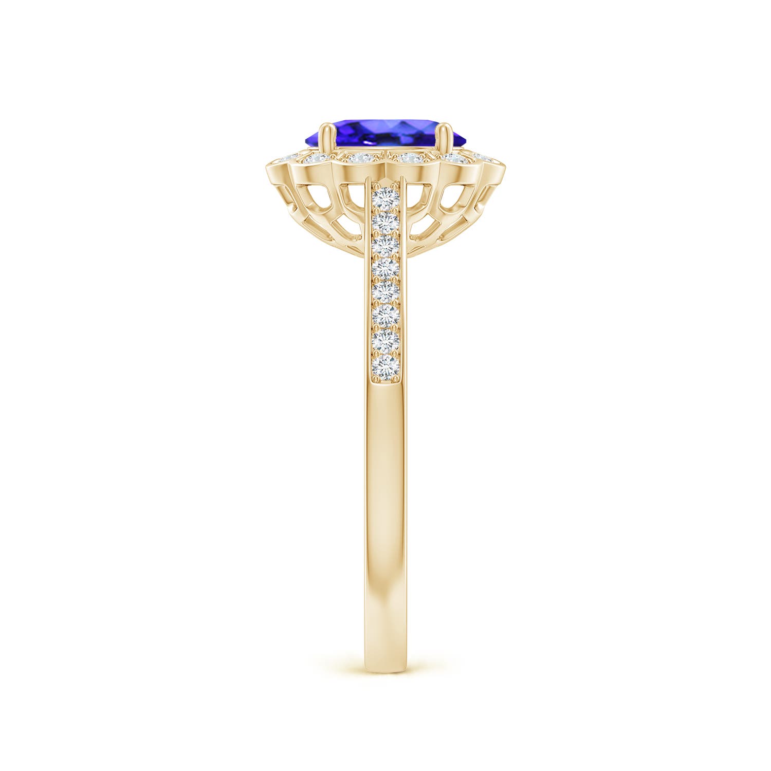 AAA - Tanzanite / 1 CT / 14 KT Yellow Gold