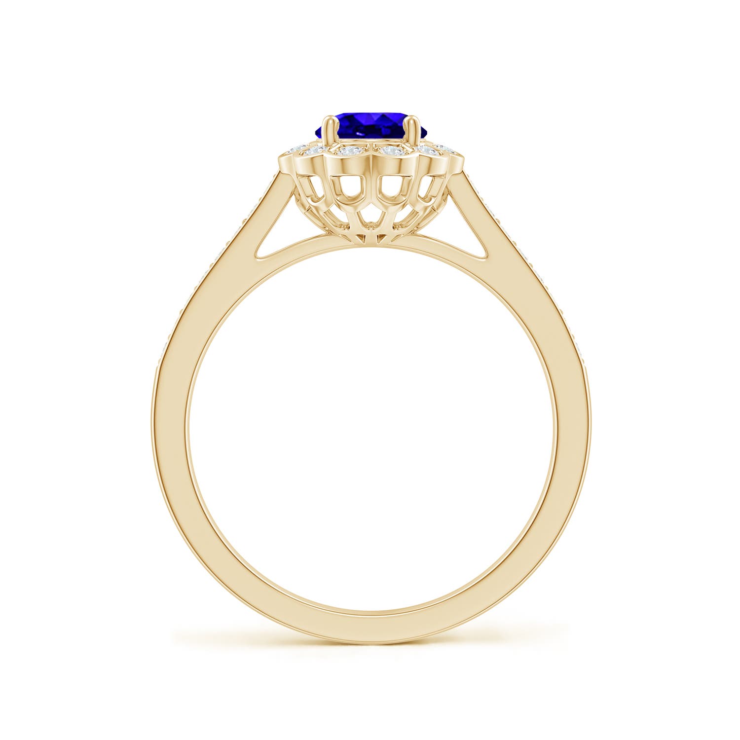 AAAA - Tanzanite / 1 CT / 14 KT Yellow Gold